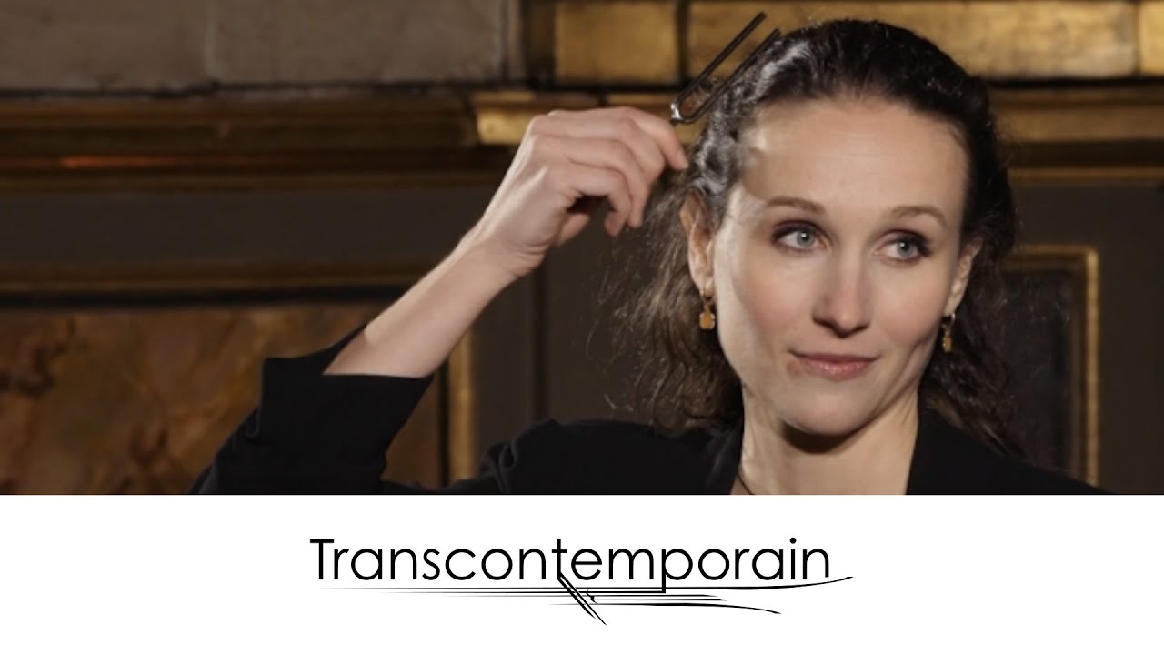 Georges Aperghis, Calme-Plat n°3, par Eva Tamisier - Le Transcontemporain