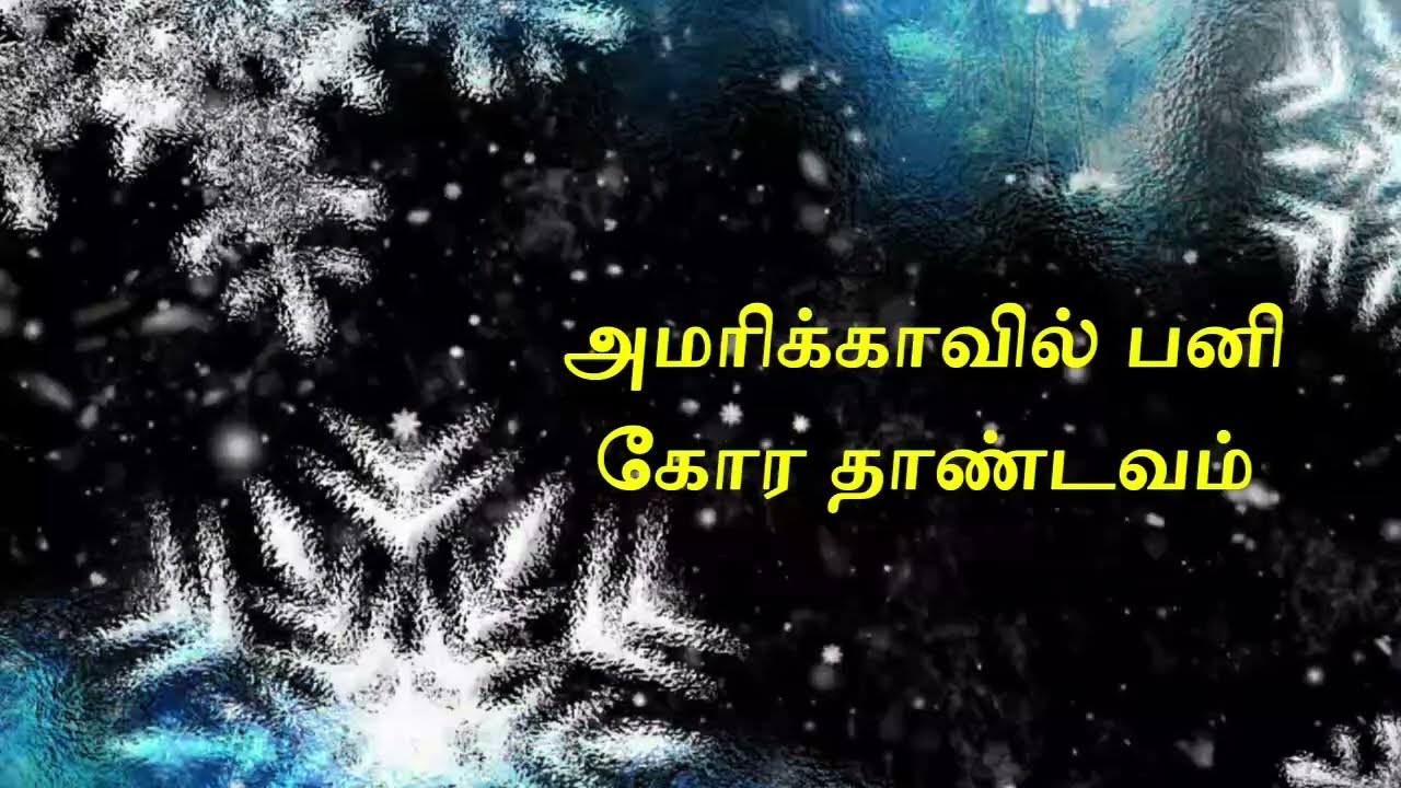 அமரிக்காவில் பலி