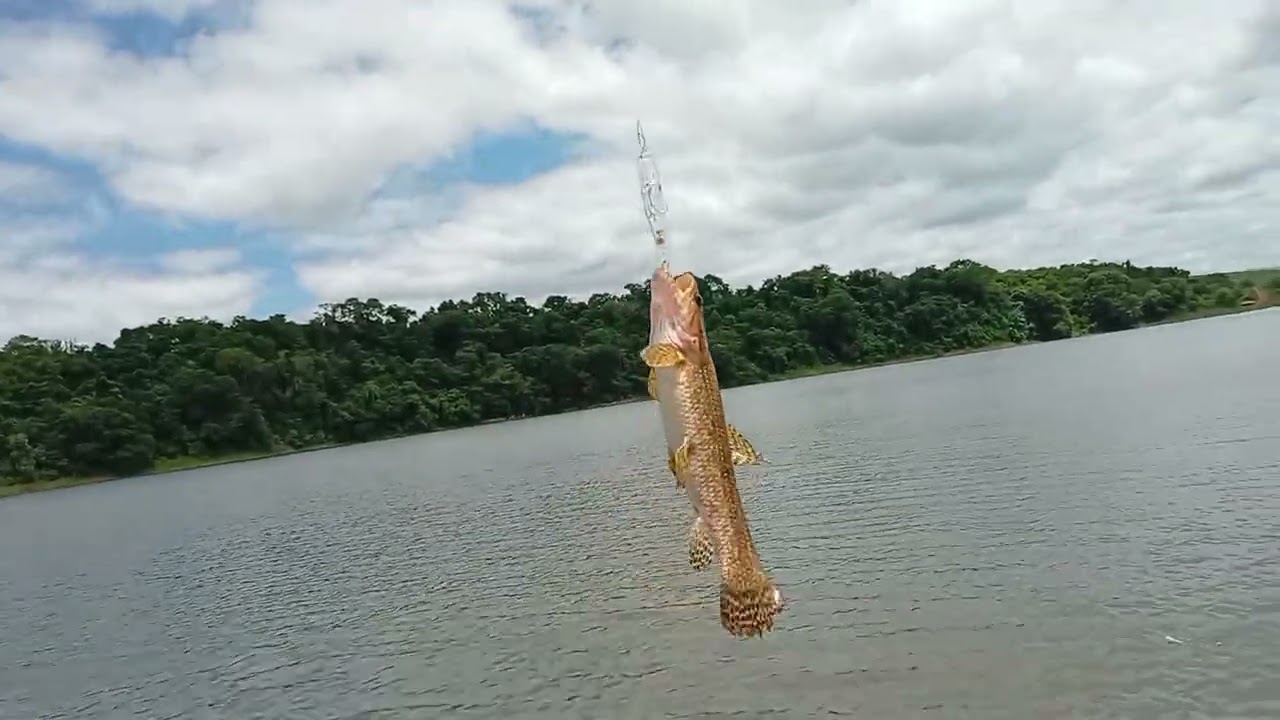 A primeiríssima do ano de 2026, represa Jurumirim em Arandu.