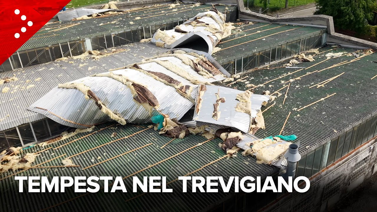 Maltempo, tempesta in provincia di Treviso: danni ai tetti e alberi abbattuti dal vento a San Fior