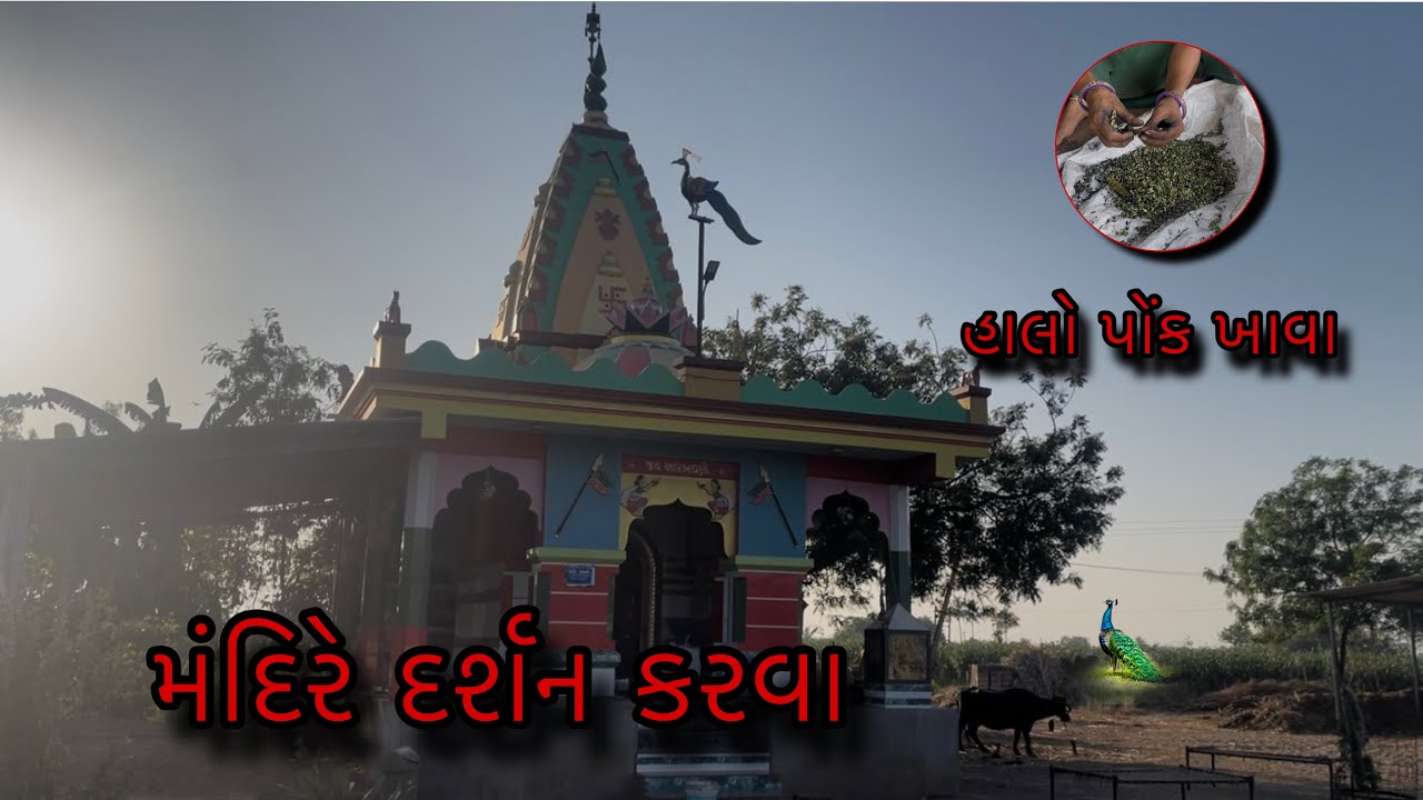 🙏🏻॥ રામદેવ પીર બાપા ના મંદિરે દર્શન કરવા ગયા॥🙏🏻🥰॥Raj Shobha vlog ॥🙏🏻🥰.-.—