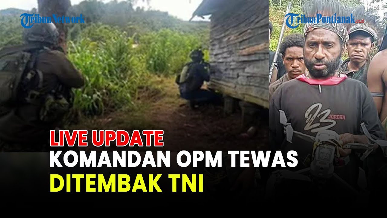 🔴PERANG TNI VS OPM, PIMPINAN KKB LAMEK TAPLO TEWAS DALAM KONTAK TEMBAK DI PAPUA PEGUNUNGAN