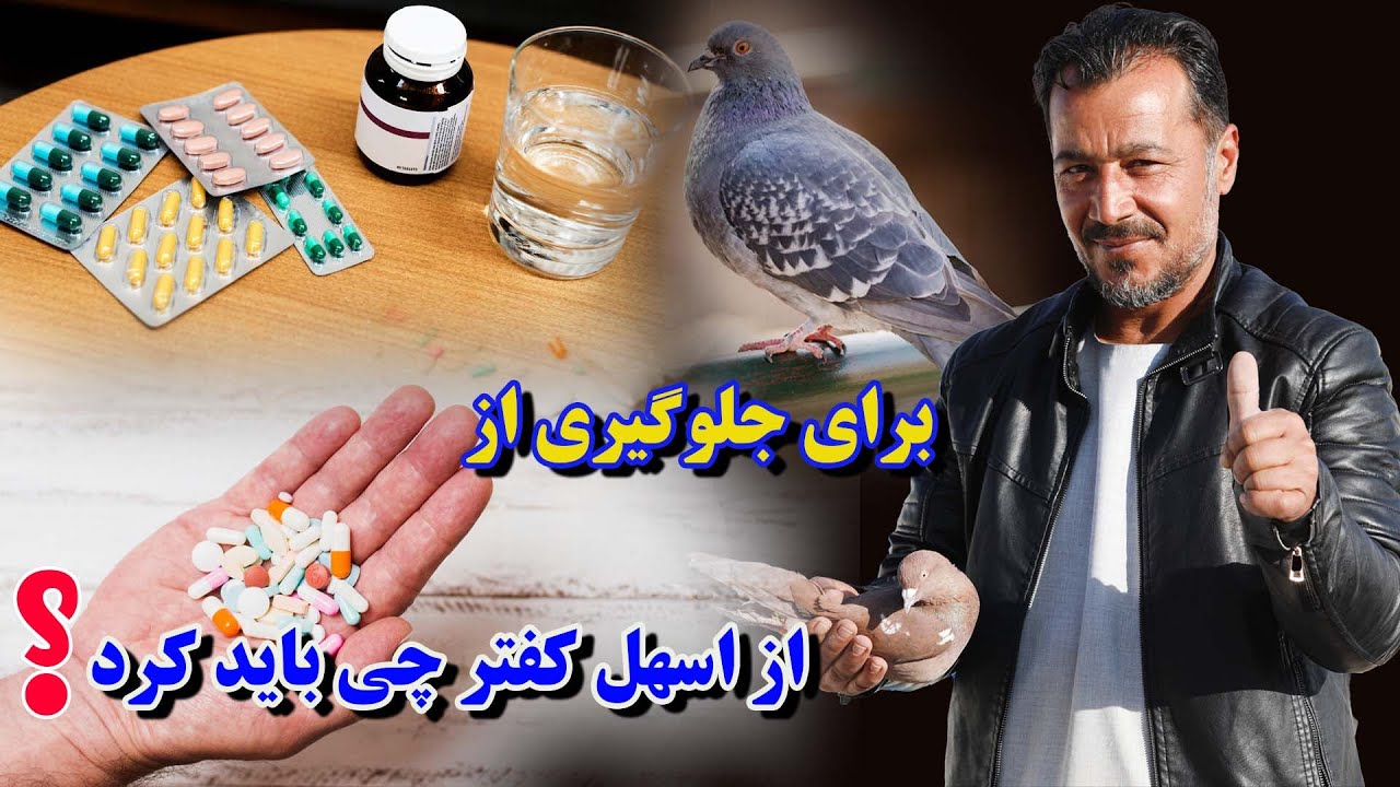 برای جلوگیری از اسهال کفتر چی باید کرد/عبدالباقی سلطانی/Afghan Shawqi017
