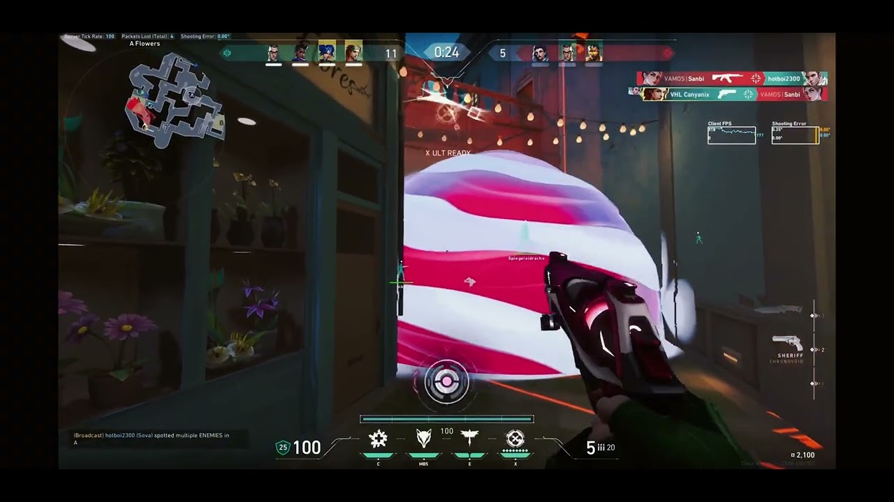 Warum Skye?! Valorant Montage #14