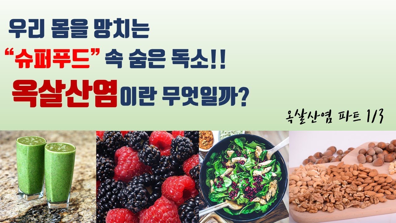 우리 몸을 망치는 키토제닉? 식물독소 옥살산염이 무엇일까? 파트1/3 [프리미티브의 건강상식]
