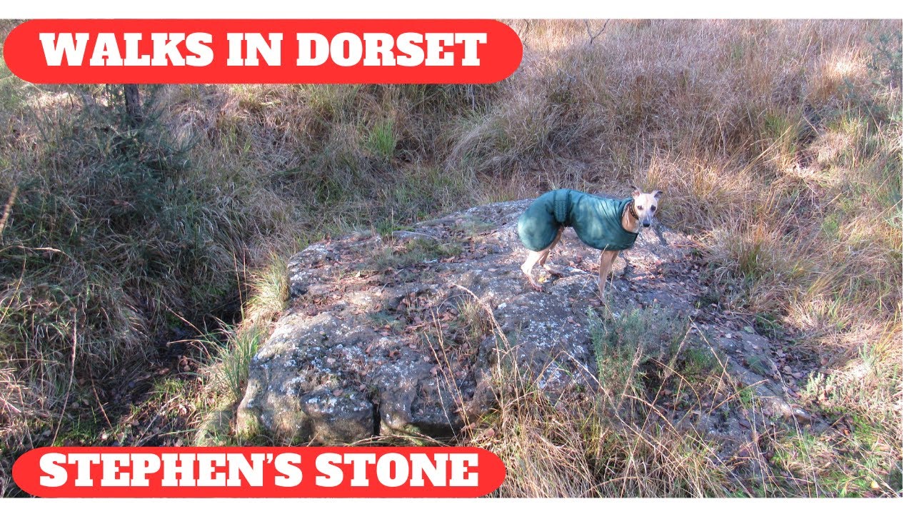 WALKS IN DORSET at CRANBORNE COMMON, STEPHEN'S CASTLE (INC STEPHEN'S STONE) & ALDERHOLT (4K)