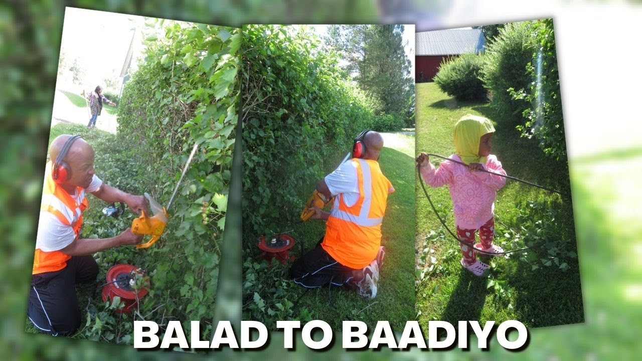 WAXAAN IDIIN BAREEYNAA TUULADEENA! KAALAYA!