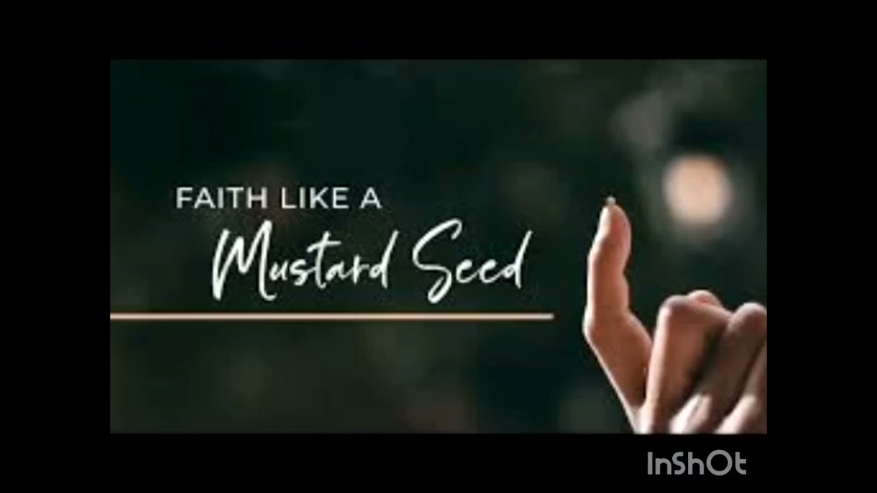 Mustard seed 