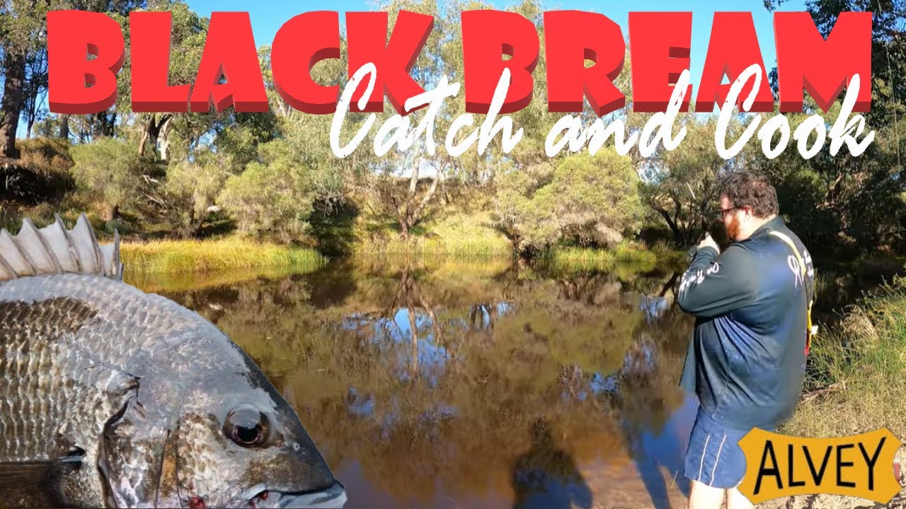 Freshwater Black Bream Catch and Cook | Alvey Reels