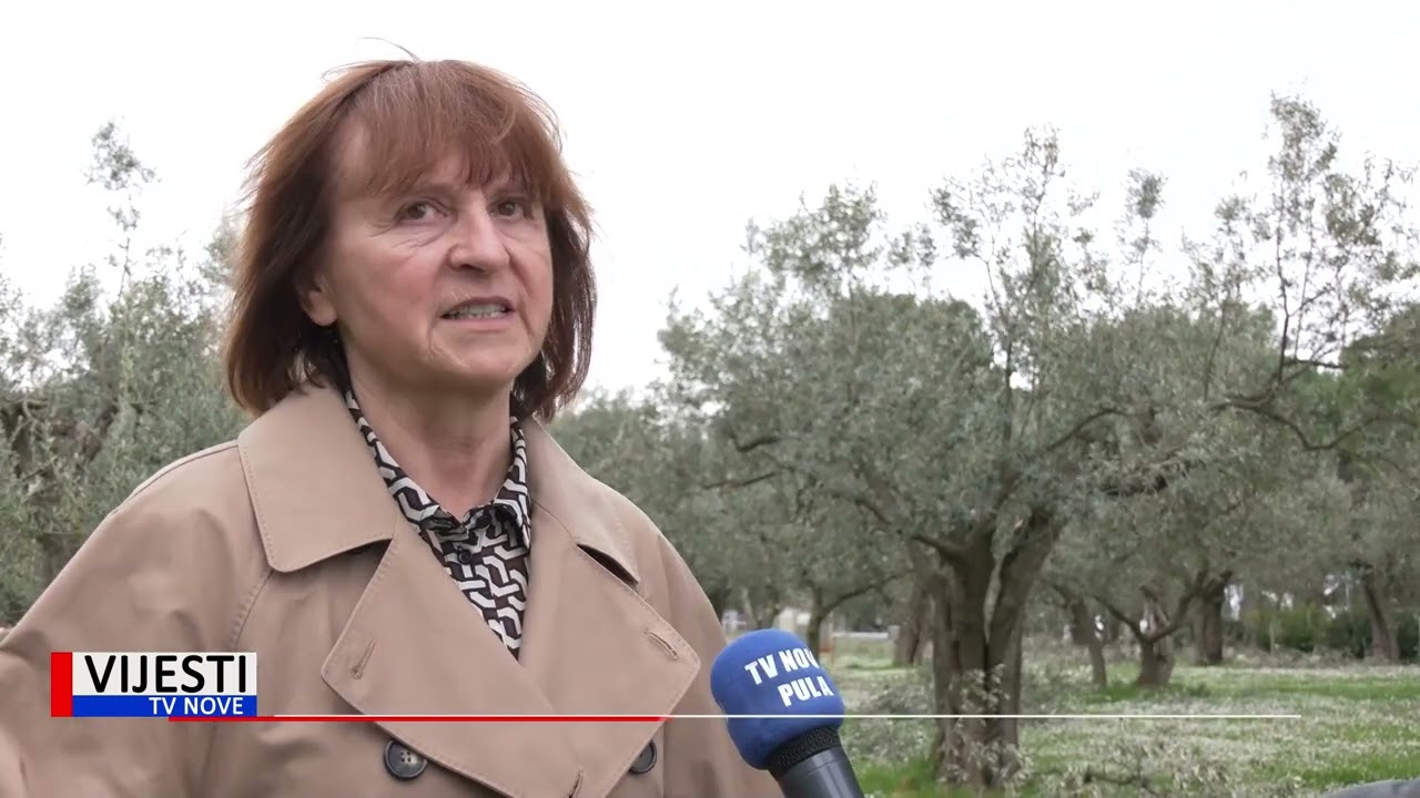 Vijesti TVN - Fažana: pripreme za početak radova na tematskom parku Fažanski olivari