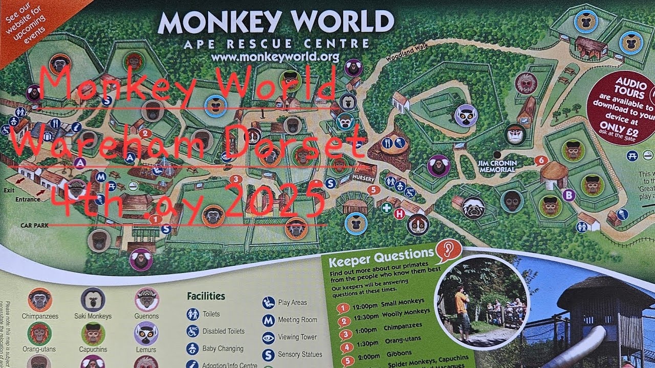 Monkey World Wareham Dorset 4th May 2025
