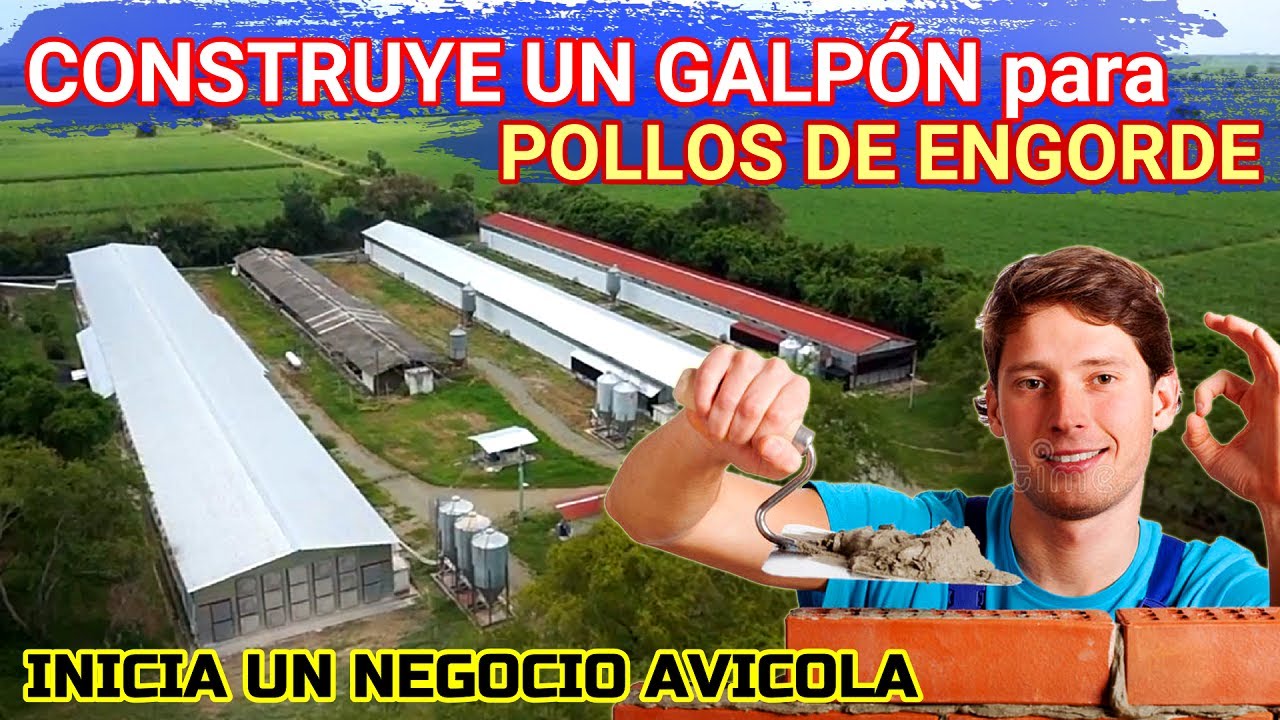 ▶ Construcci&oacute;n de GALP&Oacute;N para 🐔 POLLOS DE ENGORDE | Planifica tu proyecto
