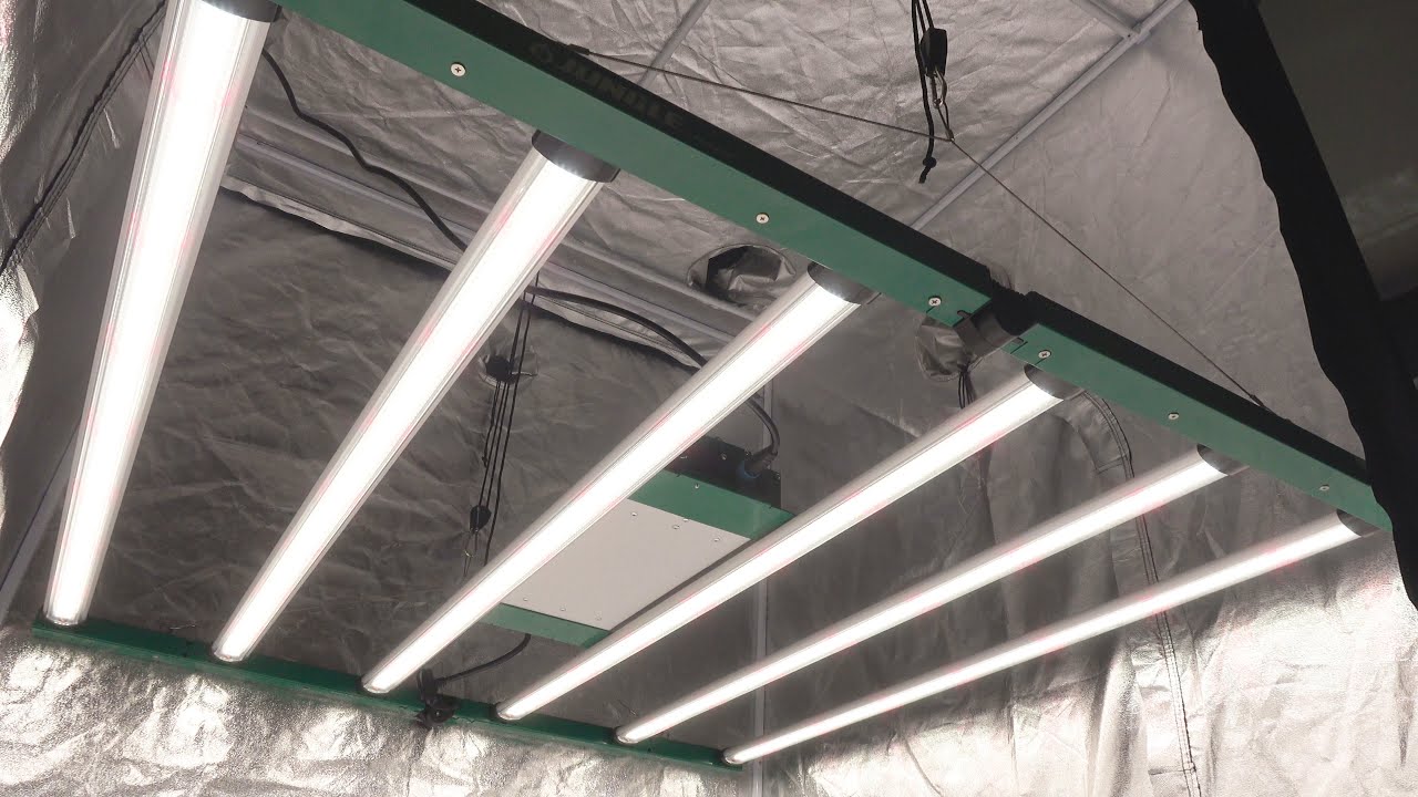 4x4 LED Grow Light Unboxing & PAR Test! - PlantMax Jungle G6 LED Grow Light