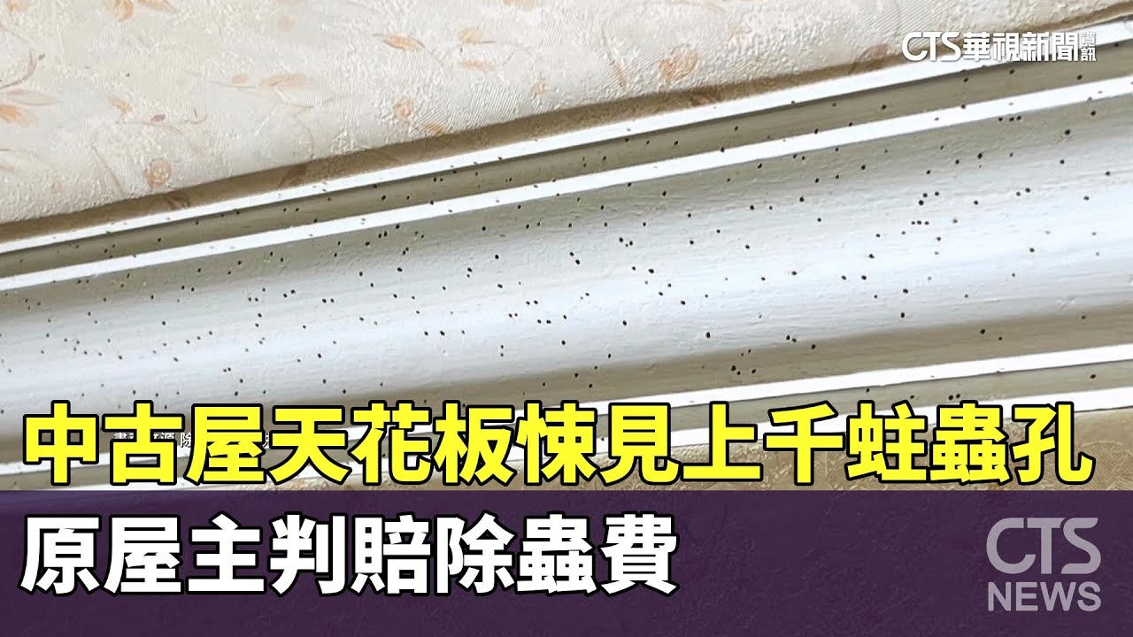 中古屋天花板悚見上千蛀蟲孔　原屋主判賠除蟲費｜華視新聞 20250829 @CtsTw
