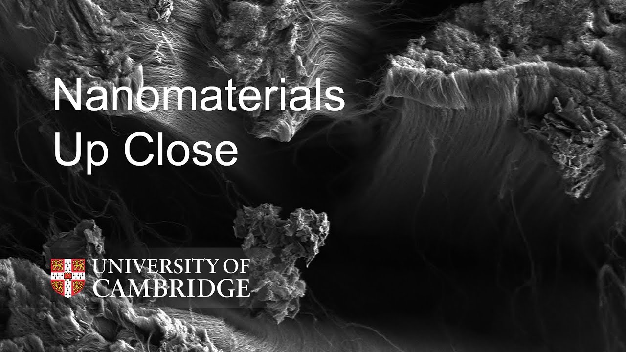 Nanomaterials Up Close: Forest of carbon nanotubes