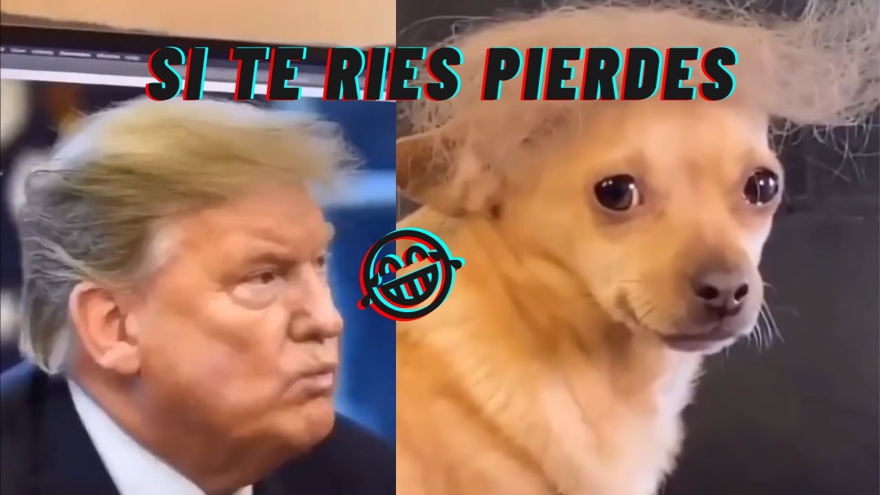 SI TE RIES PIERDES VIVEL DIOS 9999999% IMPOSIBLE NO HACERLO