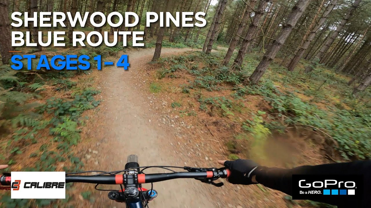 SHERWOOD PINES BLUE ROUTE - THE BEST BITS
