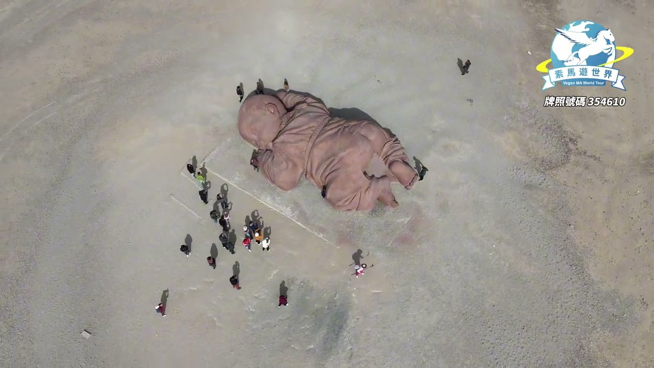 中國甘肅青海 🇨🇳 純素旅行團Vegan Travel｜季節限定胡楊林｜莫高窟｜月牙泉｜翡翠湖｜青海湖｜茶卡鹽湖｜天空之鏡 🌱 世界各地素食旅行團