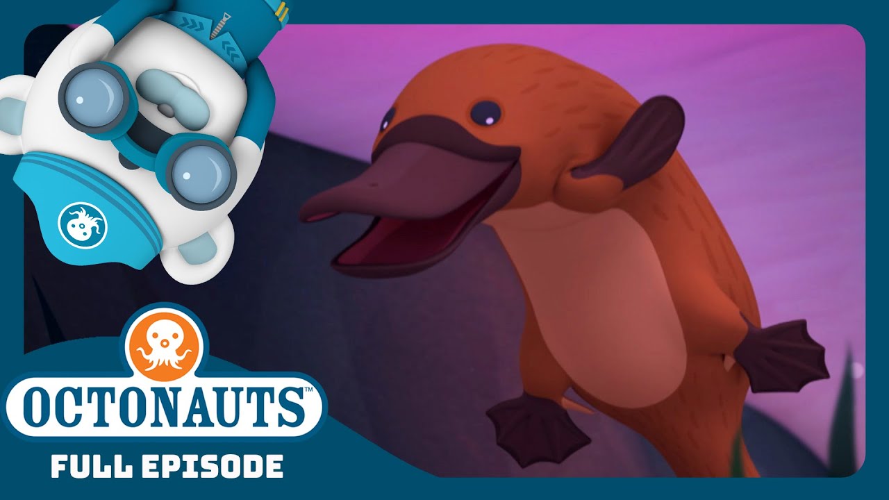 @Octonauts - 🌊 The Duck-Billed Platypus 🦆 | Season 3 | Full Episode | Cartoons for Kids