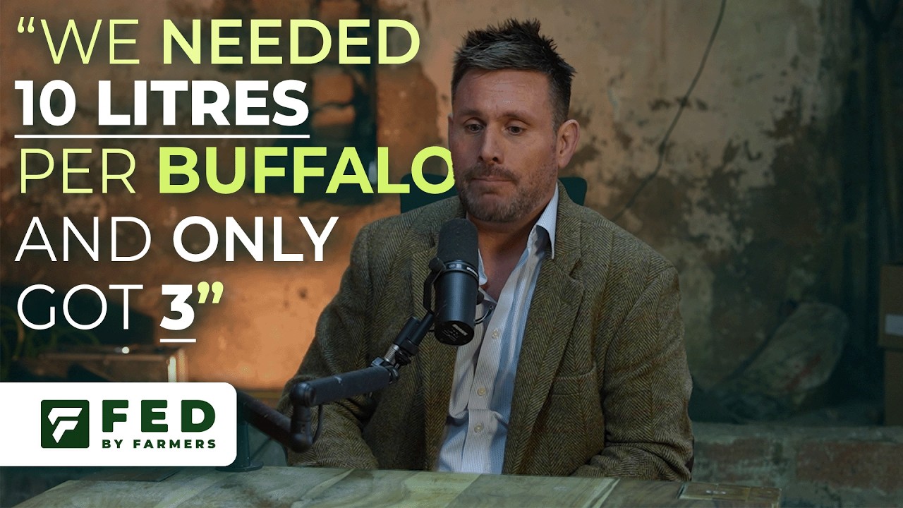 Steve Mitchell - What happened at The Buffalo Farm?
