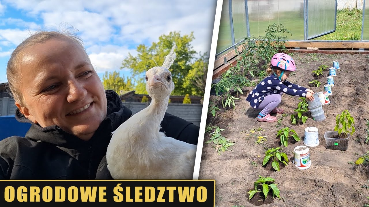 Ogrodowe śledztwo 🧐