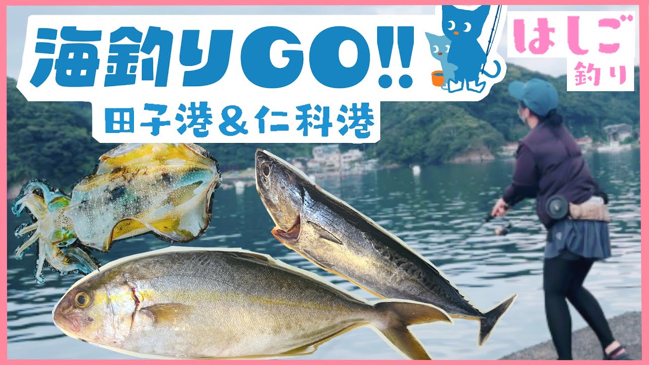 【田子港&仁科港(解説つき）】はしご釣り♪海釣りGO‼︎田子港・仁科港行ってきた！＃ショゴ#ソウダガツオ ＃アオリイカ＃仁科港＃田子港＃海釣りGO