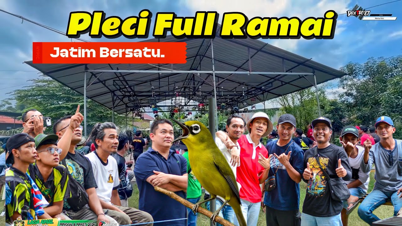 PLECI SANGAT RAMAI DI KOTA PASURUAN