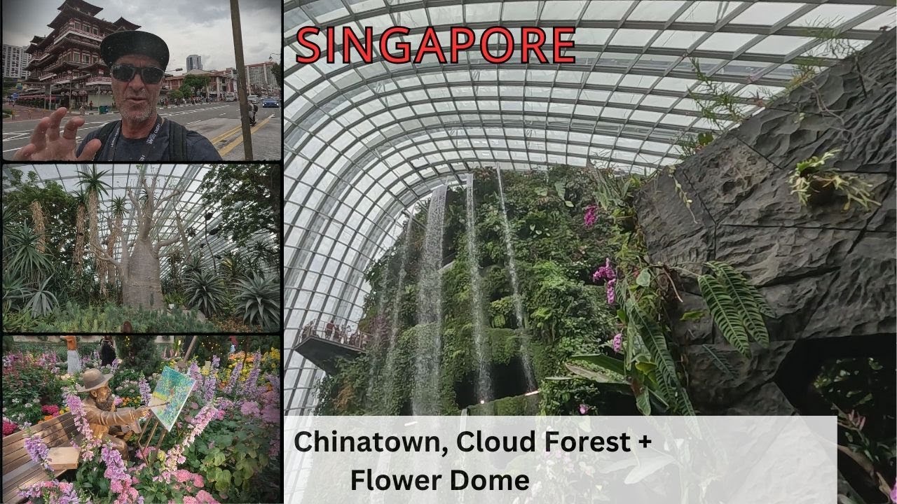 Discovering Singapore Day 3: Chinatown, Cloud Forest + Flower Dome