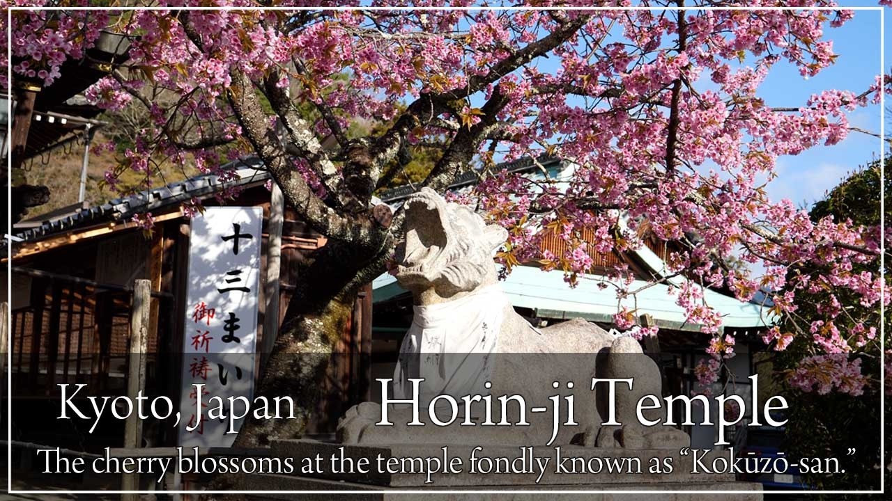 An old temple on the slopes of Arashiyama. Enjoy the full-bloom cherry blossoms at this hidden spot.
