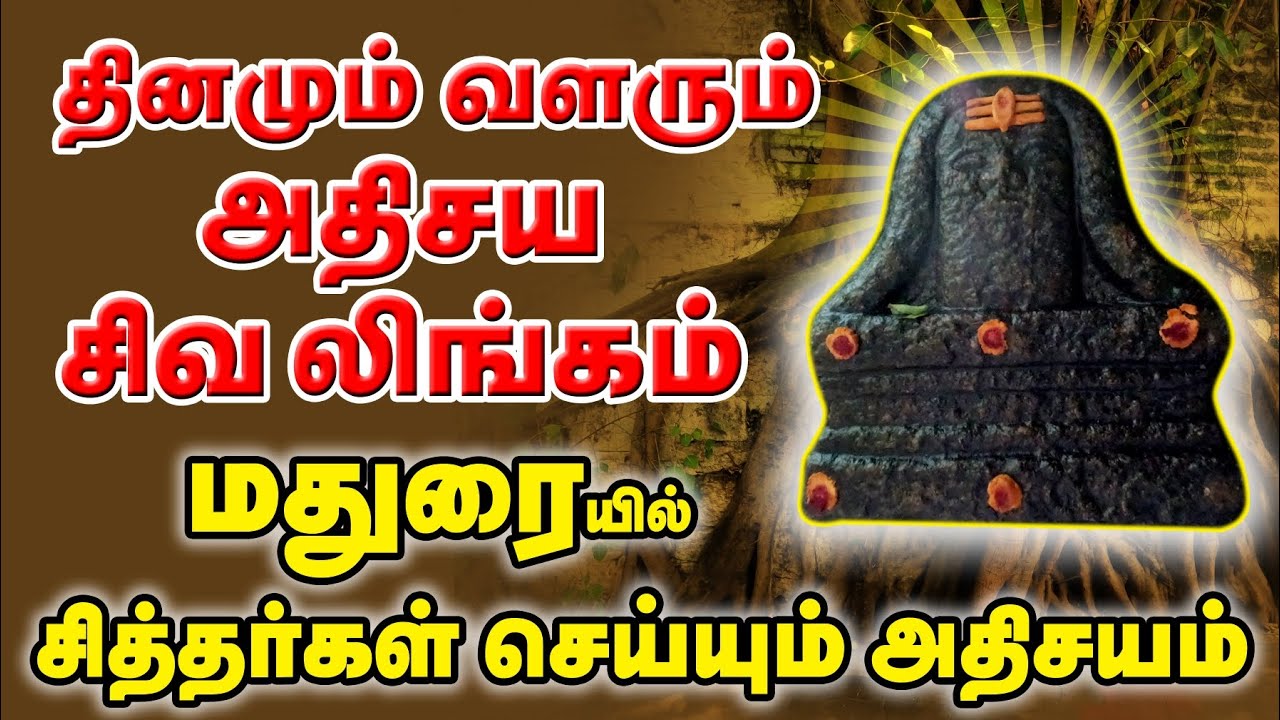 தினமும் வளரும் அதிசய சிவலிங்கம் #wayofyogis #jeevasamadhi #madurai