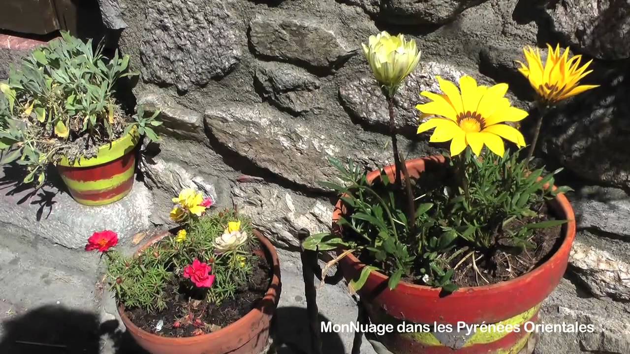 Voyage dans les Pyrénées Orientales