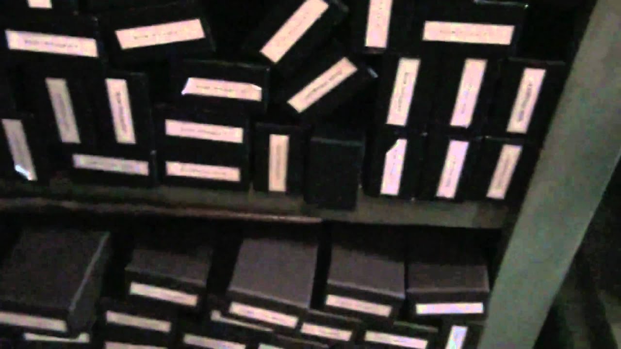 Vacation Log 24 - Ollivander's Wand Shop