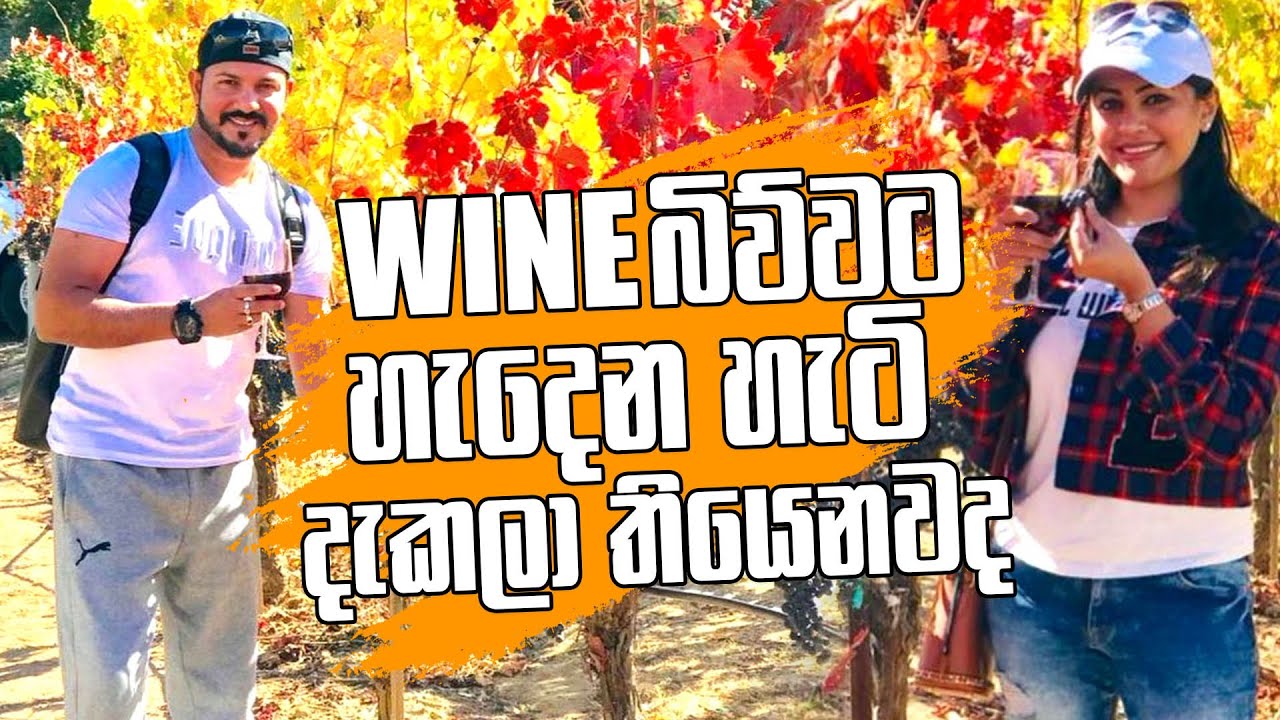 Wine බිව්වට හැදෙන හැටි දැකල තියනවද?... Vineyard experience...Travel Vlog..
