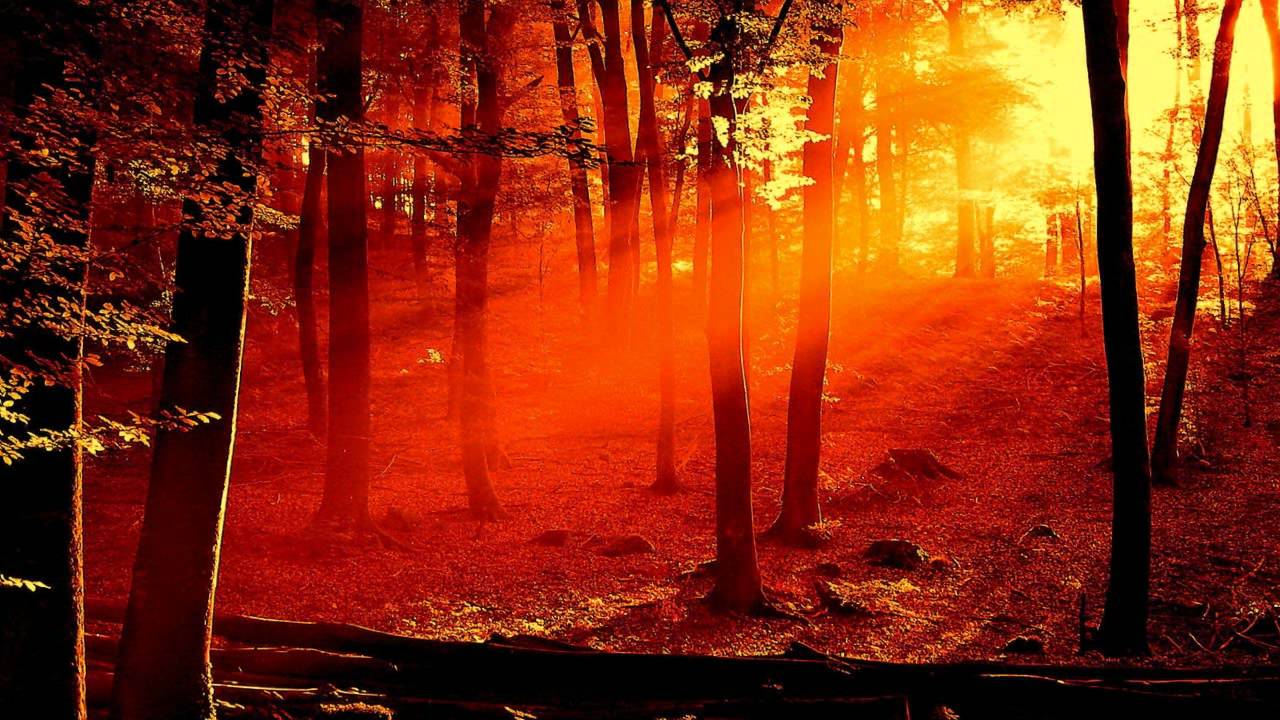 Ludovico Einaudi - Divenire [HD]