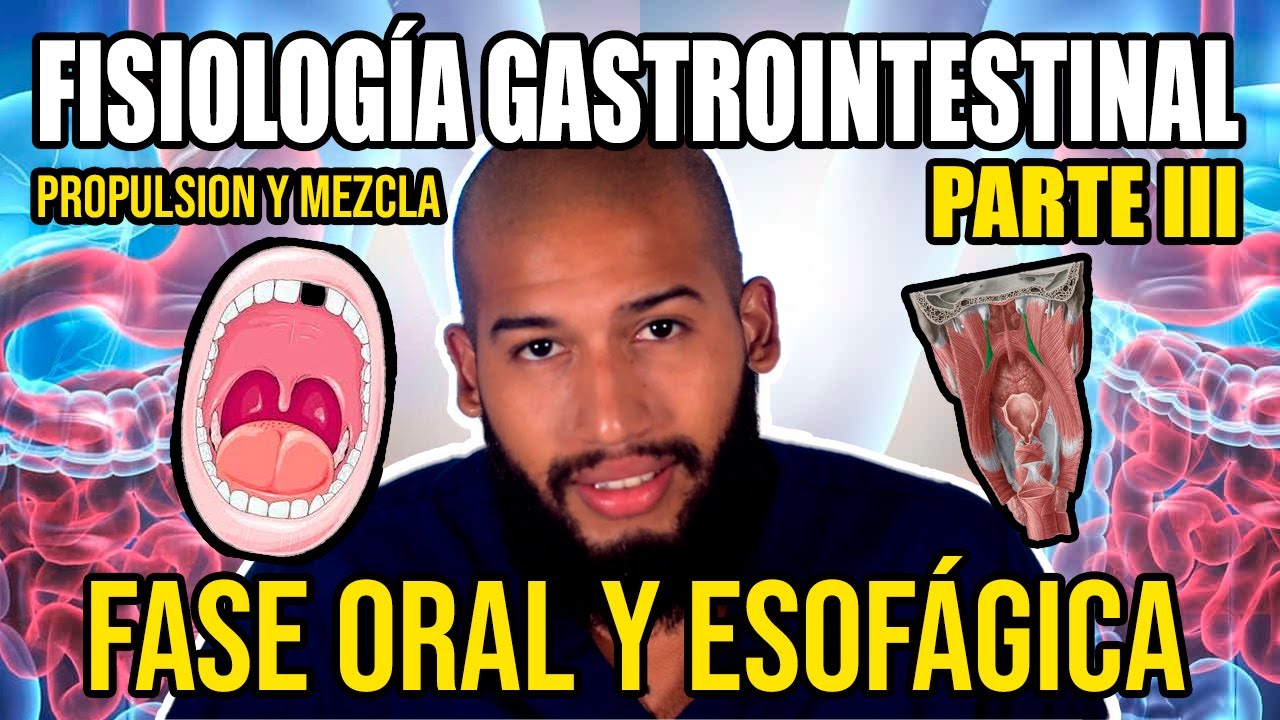 Fisiología GASTROINTESTINAL Pt. III - Fase Cefálica, Oral y Esofágica (Peristaltismo y Salivación)