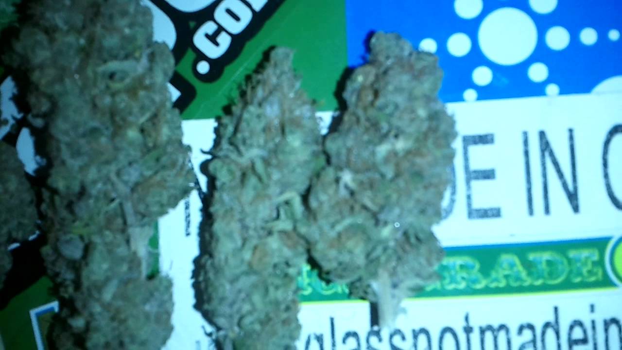Purple Wreck & White Widow Harvest