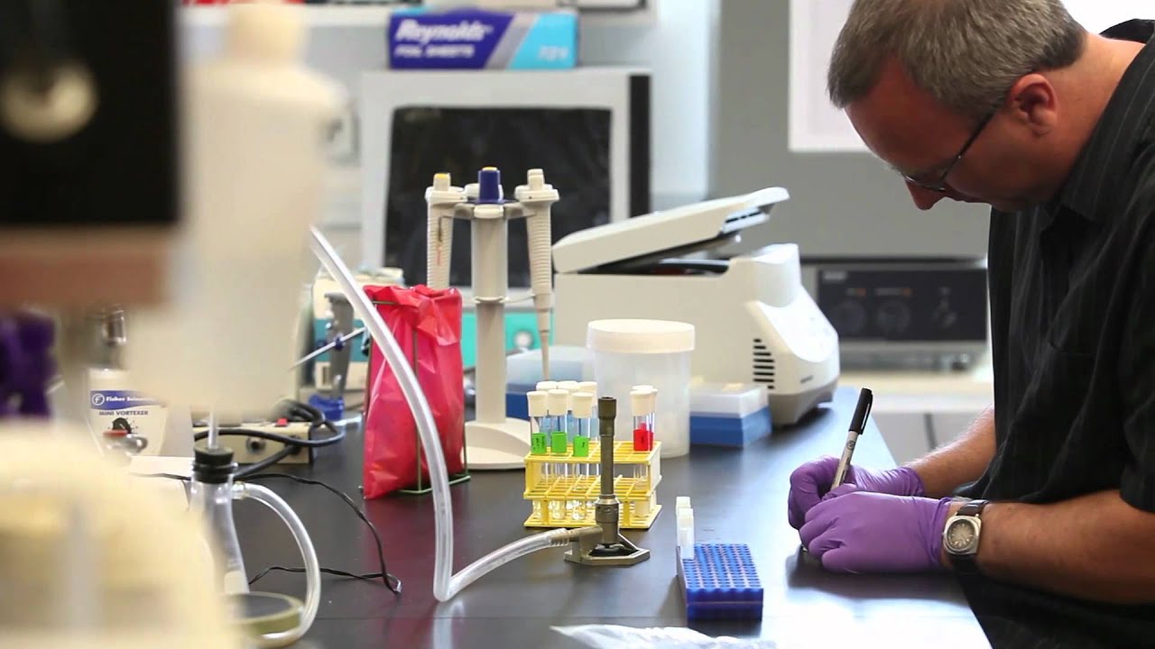 Effectiveness of bioremediation in removing superfund contaminants