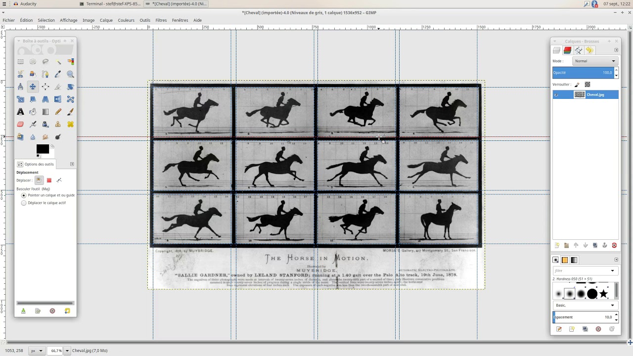 Tuto : créer une animation d'après Muybridge avec Gimp
