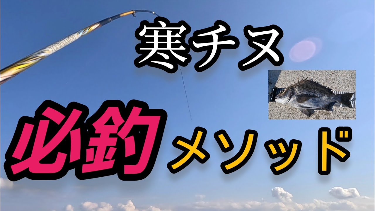 寒チヌはだいたいこんな感じで釣ってます✌️