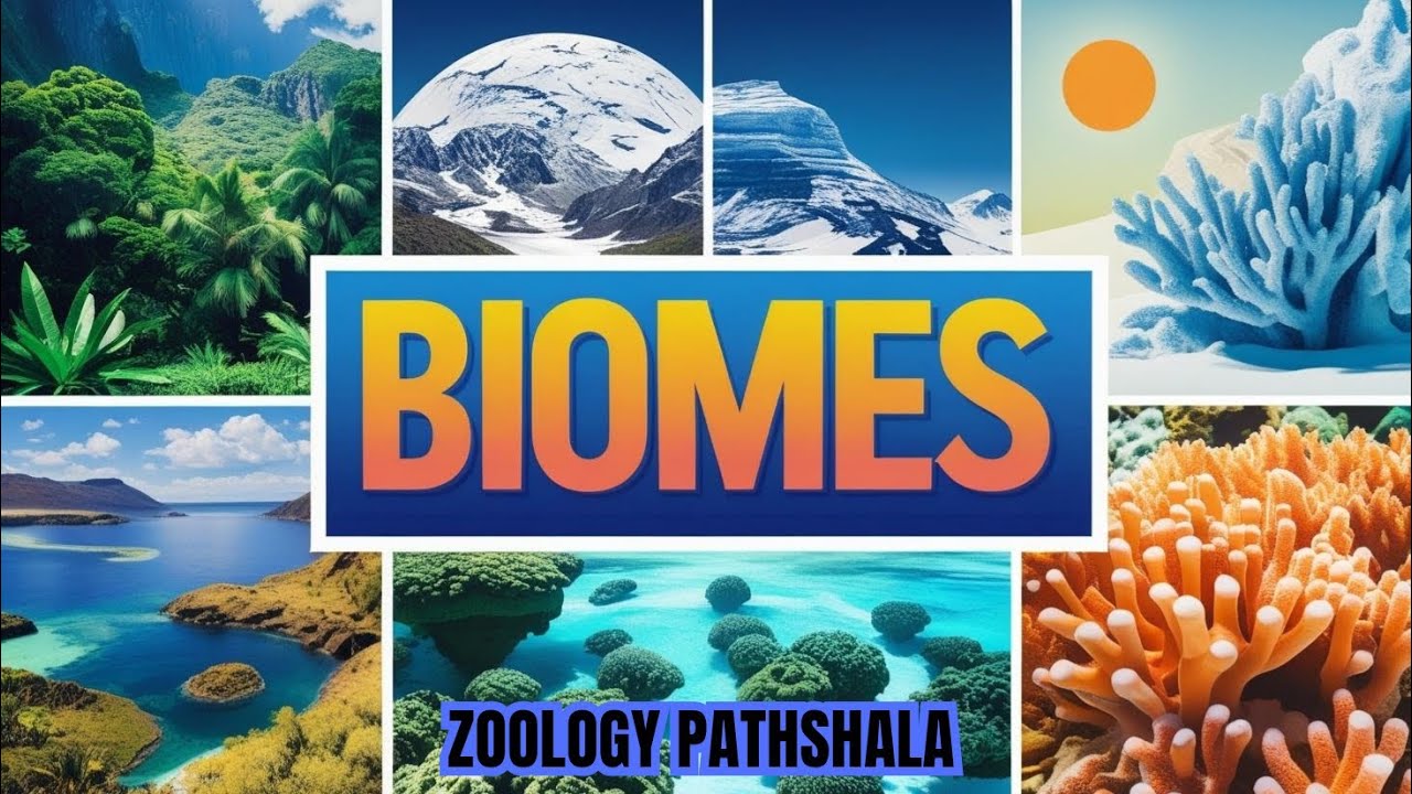 BIOMES AND ITS TYPES | BSc MSc Notes | @ZoologyPathshala #bscnotes #mscnotes #biomes #typesofbiomes