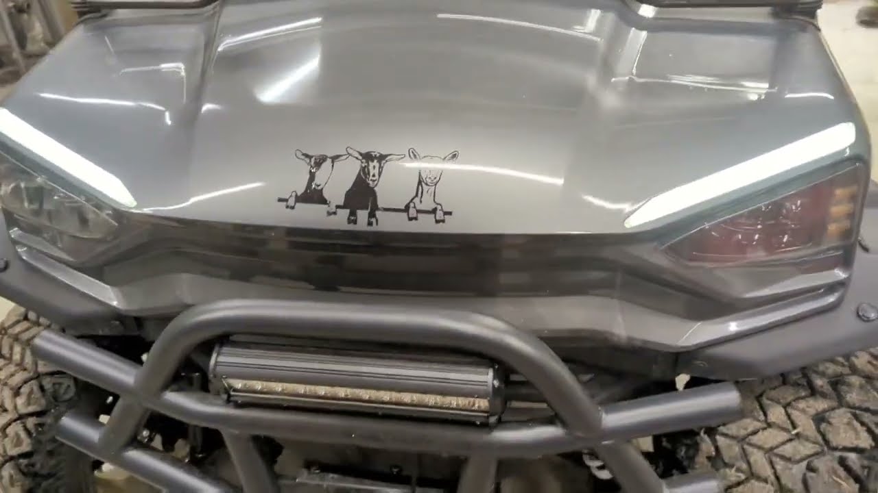 Racka golf cart| Where is that annoying reverse horn location?  Coleman power sports