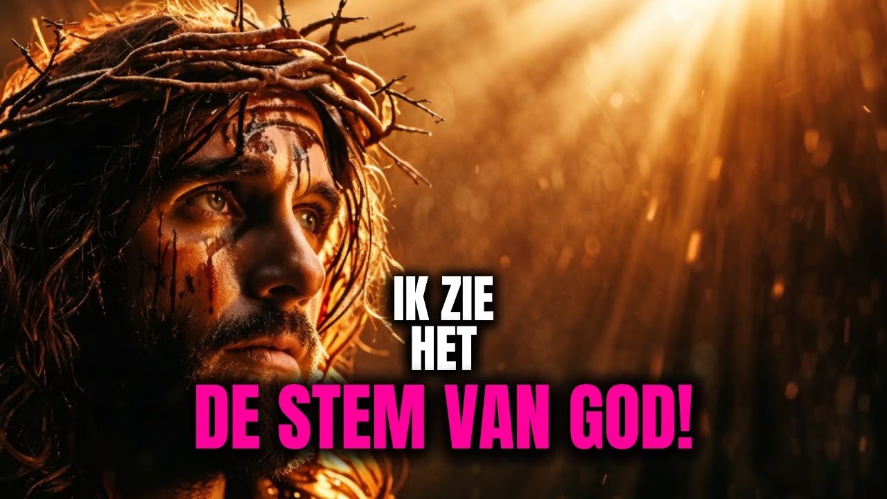 ALS NIEMAND HET ZIET IK ZIE HET  EN IK GA JE HERSTELLEN