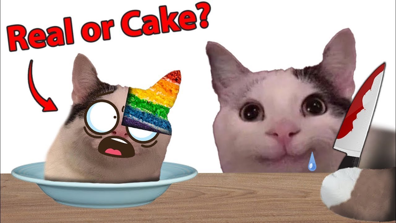 When Beluga Destroyed Real or Cake... | MEGA COMPILATION
