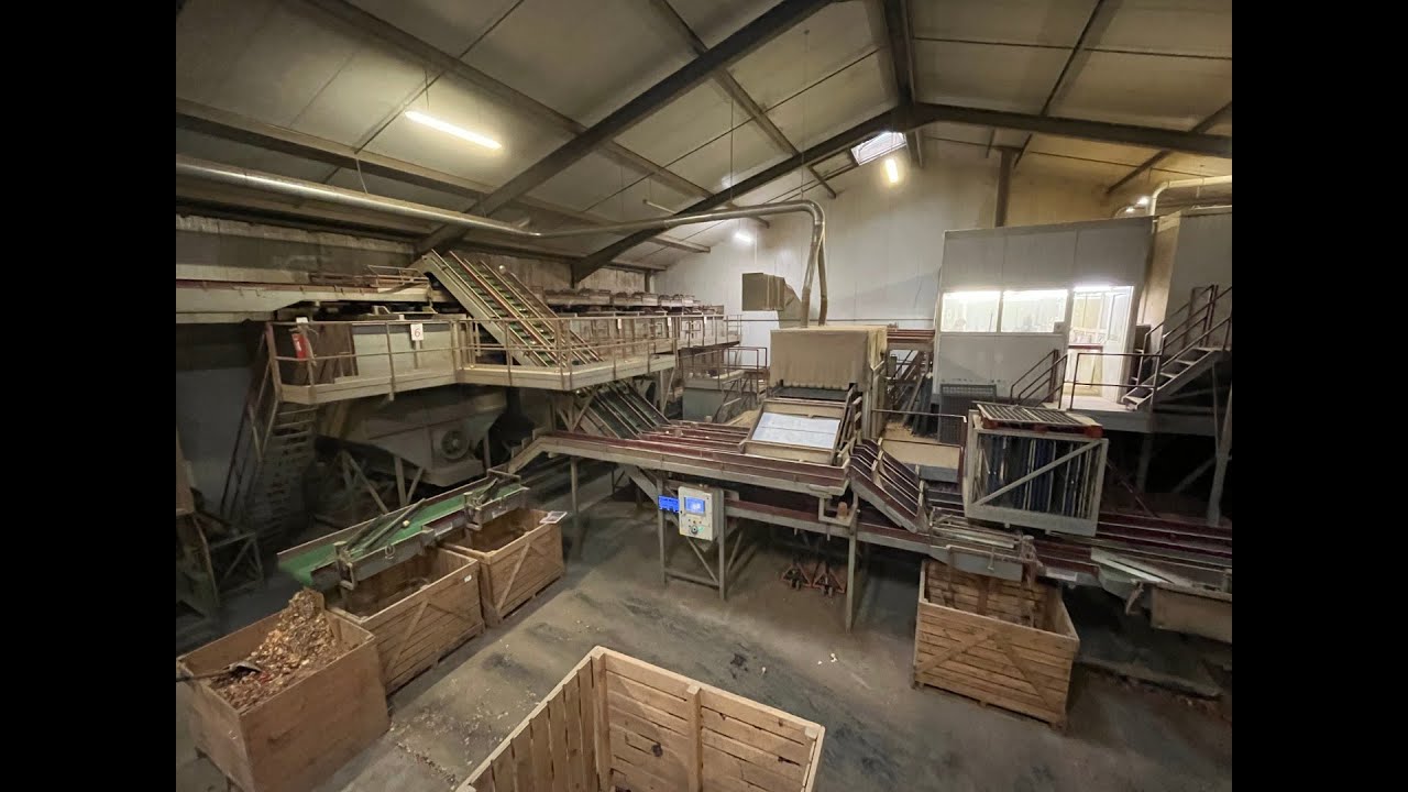 Complete industriële ERC/Eqraft/Auger/Dijkstra/Allround uien sorteer- en verwerkingslijn