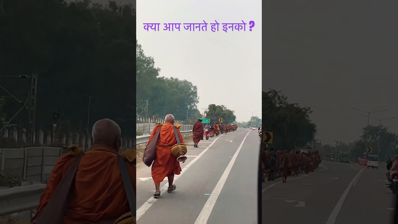 बुद्ध के मार्ग पर चलते भिक्षु | Peaceful Buddhist Life 