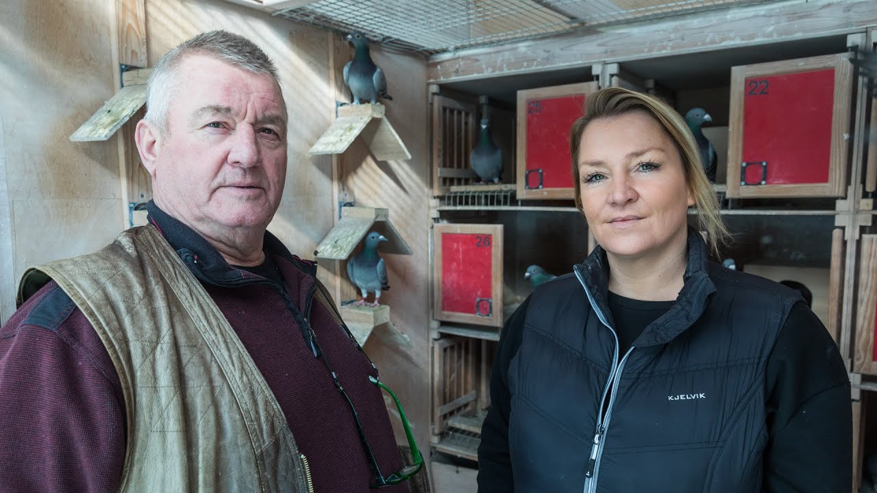 National WHZB/TBOTB/NPO winners 2022: 1st Ace Pigeon & Nominated Short Dist, van de Pasch & daughter