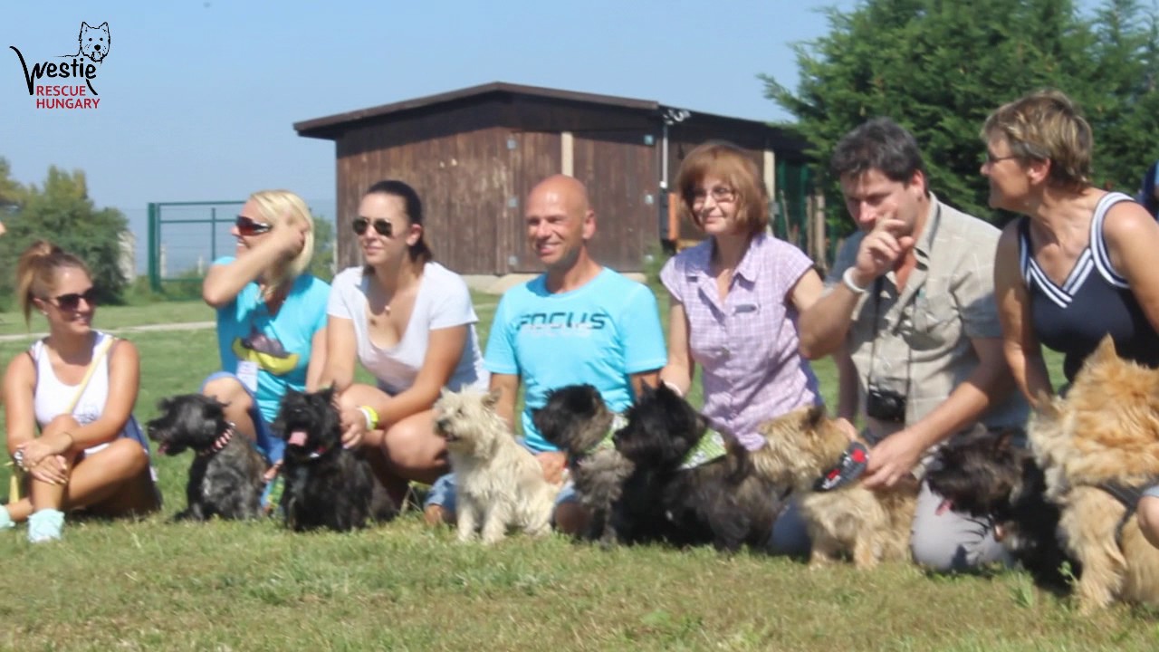 Westie Rescue Hungary 5. Sz&uuml;linapi party