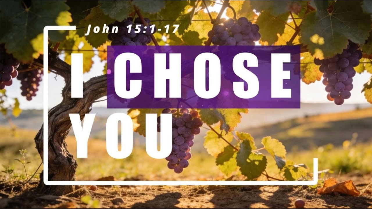 I Chose You (John 15:1-17)
