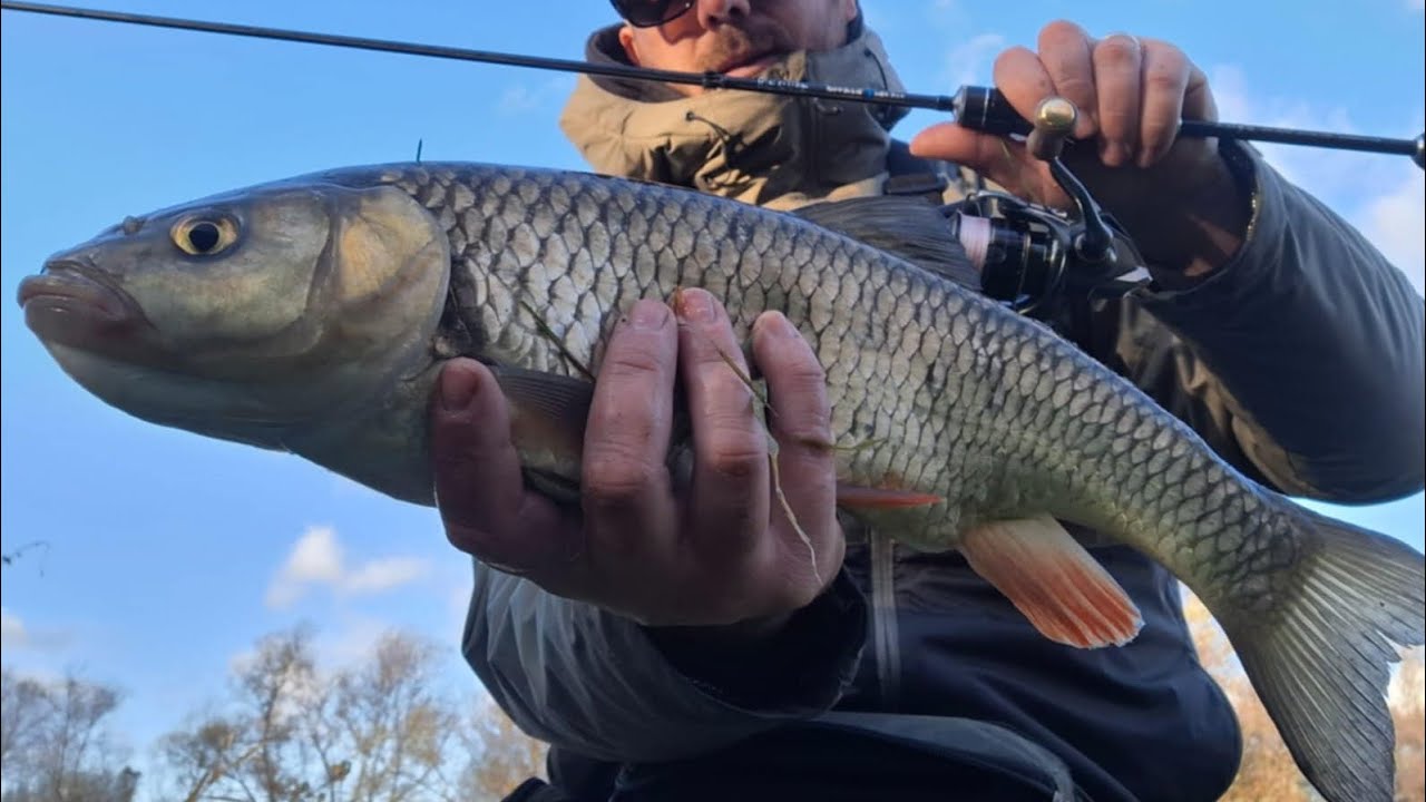 🎣Pe Urmele Cleanului: Pasiunea Pescuitului pe Ape Limpezi🎣