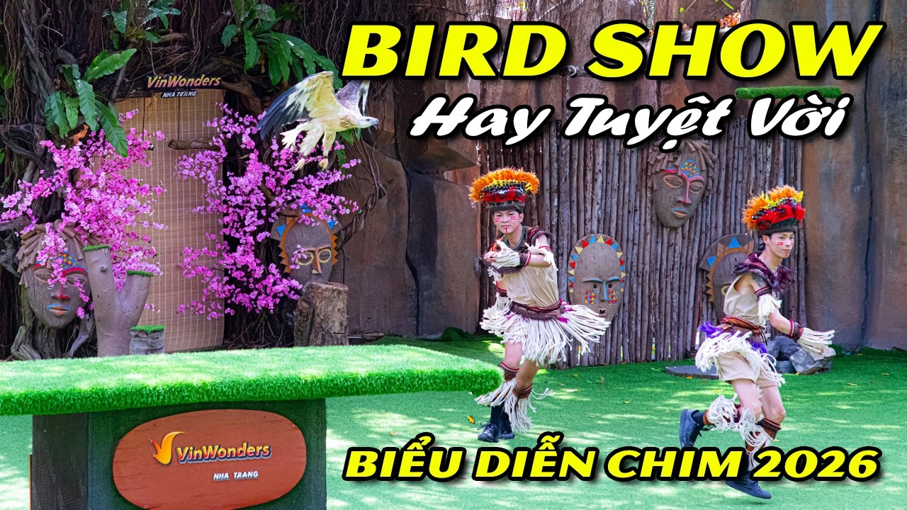 SHOW BIỂU DIỄN CHIM TẠI VINWONDERS NHA TRANG 2026
